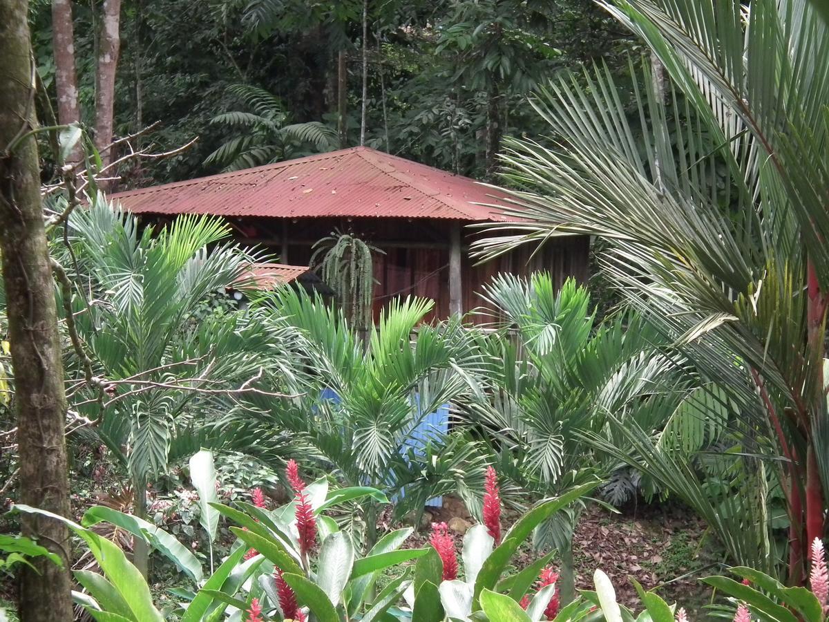 Hotel Valle Azul San Gerardo Cameră foto